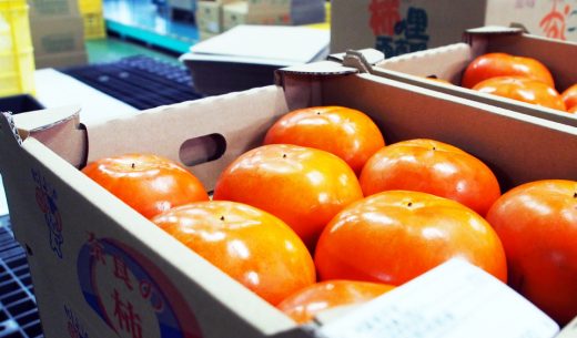 【食べてみる奈良】旬の柿を買うなら『JA ならけん西吉野柿選果場』へ！